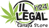 167 logo definitivo